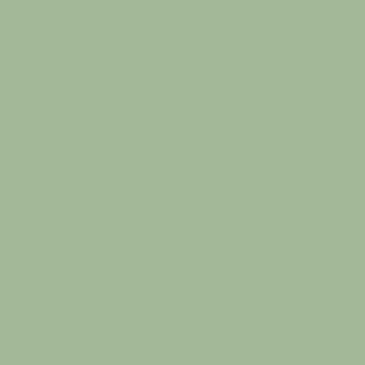 Sage Leaf — Egger HPL